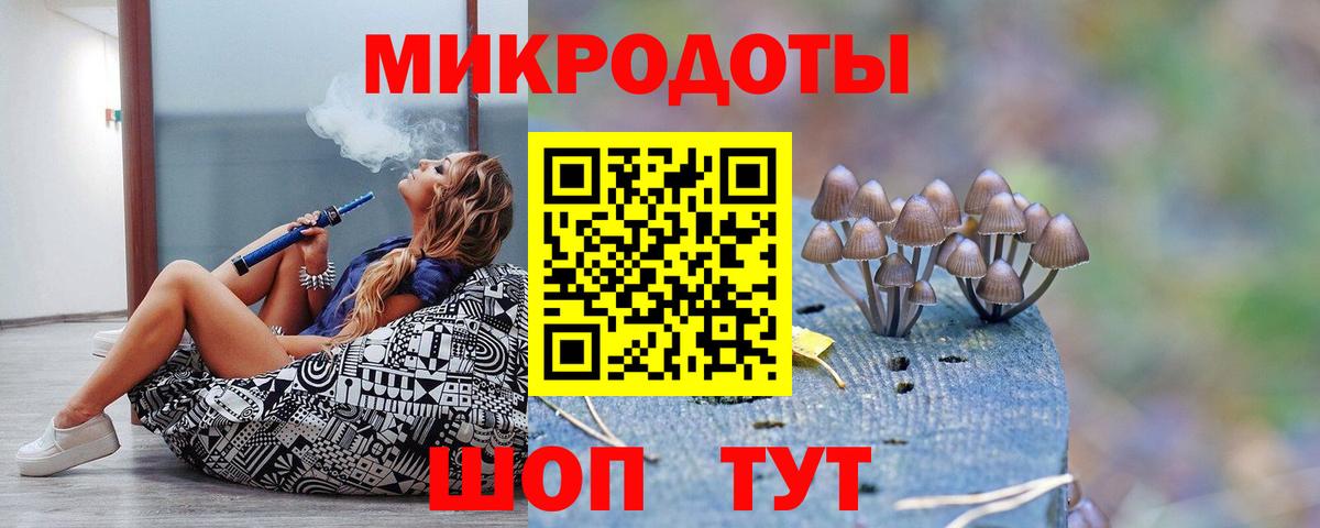 Псилоцибиновые грибы Psilocybe Каменка