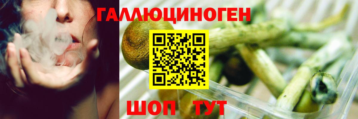 Галлюциногенные грибы Magic Shrooms  Вход с VPN  Псилоцибиновые грибы мухоморы  Каменка 